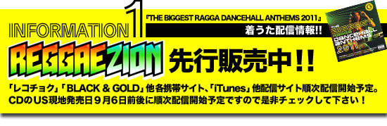 THE BIGGEST RAGGA DANCEHALL ANTHEMS 2011