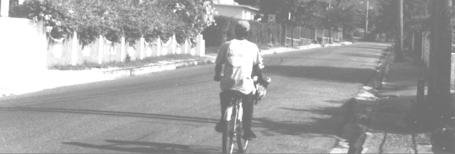 ���Q�G�E���[�x��24�~7���R�[�h�̃E�G�A�E���C��RICE & PEAS